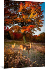 Load image into Gallery viewer, 'Fall Portrait'