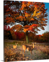 Load image into Gallery viewer, 'Fall Portrait'