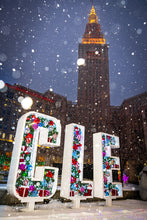 Load image into Gallery viewer, 'Lake Effect - CLE style'