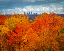 Load image into Gallery viewer, 'CLEAFland'