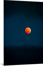 Load image into Gallery viewer, 'Fleeting'