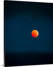 Load image into Gallery viewer, 'Fleeting'