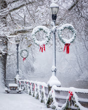 Load image into Gallery viewer, 'December 1st.  Chapter Four.'