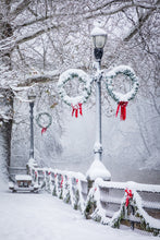 Load image into Gallery viewer, 'December 1st.  Chapter Four.'