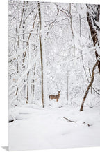 Load image into Gallery viewer, 'December 1st.  Chapter Two'