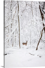 Load image into Gallery viewer, 'December 1st.  Chapter Two'