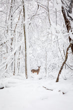 Load image into Gallery viewer, 'December 1st.  Chapter Two'