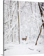 Load image into Gallery viewer, 'December 1st.  Chapter Two'
