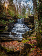 Load image into Gallery viewer, 'Natural Silk'