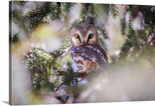 Load image into Gallery viewer, 'Day-maker'