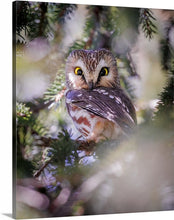 Load image into Gallery viewer, 'Day-maker'