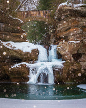 Load image into Gallery viewer, 'Flurry'