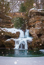 Load image into Gallery viewer, 'Flurry'