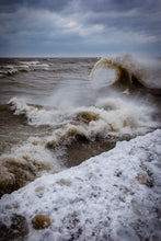 Load image into Gallery viewer, 'Lake Erie Monster'
