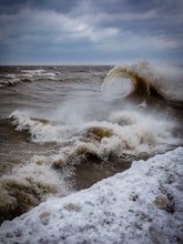 Load image into Gallery viewer, 'Lake Erie Monster'