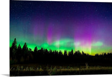 Load image into Gallery viewer, 'Cosmic Dancer'