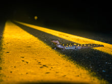 Load image into Gallery viewer, 'Salamander Crossing'