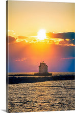 Load image into Gallery viewer, ‘Sometimes You Have to Get Pooped on to Get the Shot’