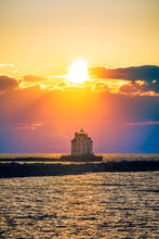 Load image into Gallery viewer, ‘Sometimes You Have to Get Pooped on to Get the Shot’