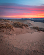 Load image into Gallery viewer, 'Pure Michigan, pt. 1'