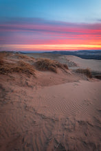 Load image into Gallery viewer, 'Pure Michigan, pt. 1'