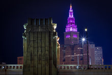 Load image into Gallery viewer, 'Plumberry'