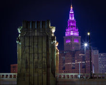 Load image into Gallery viewer, 'Plumberry'