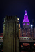 Load image into Gallery viewer, 'Plumberry'