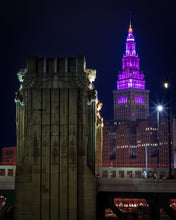 Load image into Gallery viewer, 'Plumberry'