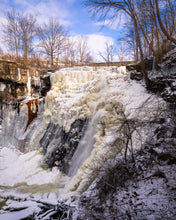 Load image into Gallery viewer, 'Frozen Brandywine'