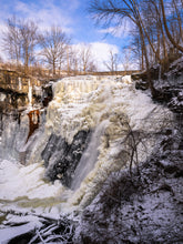 Load image into Gallery viewer, 'Frozen Brandywine'