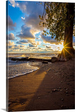 Load image into Gallery viewer, 'Farewell to The Tree'