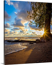 Load image into Gallery viewer, 'Farewell to The Tree'