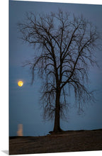Load image into Gallery viewer, 'Farewell to The Tree, Part Two'
