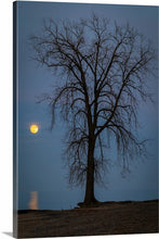 Load image into Gallery viewer, 'Farewell to The Tree, Part Two'