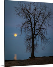 Load image into Gallery viewer, 'Farewell to The Tree, Part Two'