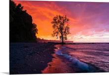 Load image into Gallery viewer, 'Hunny Run'