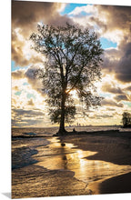 Load image into Gallery viewer, 'Farewell to The Tree, Part Three'