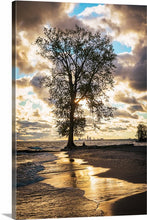 Load image into Gallery viewer, 'Farewell to The Tree, Part Three'