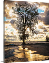 Load image into Gallery viewer, 'Farewell to The Tree, Part Three'