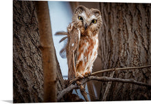 Load image into Gallery viewer, 'Killing Them Softly'