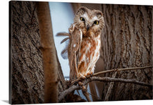 Load image into Gallery viewer, 'Killing Them Softly'