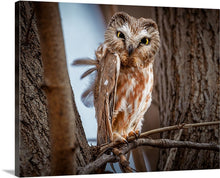 Load image into Gallery viewer, 'Killing Them Softly'