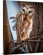 Load image into Gallery viewer, 'Killing Them Softly'