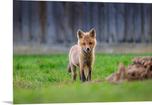 Load image into Gallery viewer, 'New Beginnings'