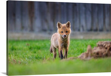 Load image into Gallery viewer, 'New Beginnings'