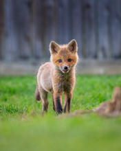 Load image into Gallery viewer, 'New Beginnings'