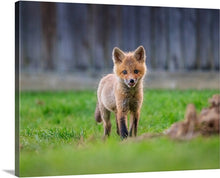 Load image into Gallery viewer, 'New Beginnings'