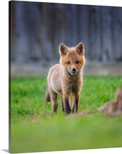 Load image into Gallery viewer, 'New Beginnings'