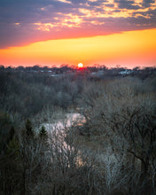 Load image into Gallery viewer, 'Hogsback Lane'